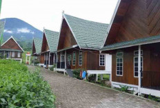 Villa dan Hotel Terisi Full