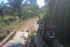 Jembatan Penghubung Dua Desa Butuh Perhatian