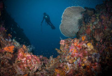 Mengintip Laut Banda Terdalam di Indonesia Mencapai 7.440 Meter