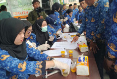 Wujudkan Lingkungan Kerja Bebas Narkoba, 828 ASN Lahat Tes Urine