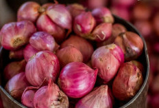 Bener Gak Sih? Bawang Merah Bisa Turunkan Demam Si Kecil?