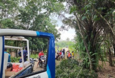 Warga dan PLN Eksekusi Tanam Tumbuh di Kecamatan Kecamatan Sosoh Buay Rayap