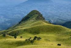 Gunung Merbabu, Destinasi Favorit Bagi Para Pendaki