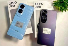 Tampil Keren Elegan! 5 Hp Terbaru Android 14 Spek Dewa, Spesifikasi Cukup Tangguh
