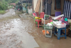 Perumnas Graha Emas Empat Lawang Terendam Banjir