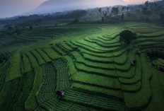 Inilah Keindahan Alam di Pacet, Mojokerto, Jawa Timur