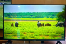 Rekomendasi 4 Smart-TV 32 Inc, Cocok Nonton Aplikasi Netflix, Youtube dan Disney+