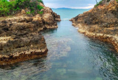 Pantai Tapak Kera dan Merak Belantung, Keindahan Pesona Alam Lampung Selatan