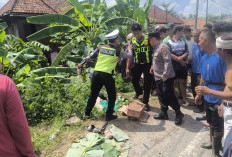 Satu Keluarga Tewas dalam Kecelakaan Maut di Jalintim Ogan Ilir