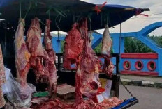 Jelang Idul Fitri 1447 Hijriah, Harga Daging Sapi di Pasar Pulau Emas Tebing Tinggi Mengalami Kenaikan