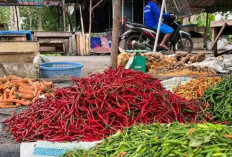 Harga Cabai Merah Turun Drastis, Rawit Hijau Masih Mahal di Empat Lawang