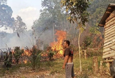 Lima Hektar Kebun Karet dan Sawit Terbakar di Empat Lawang