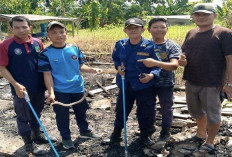 Petugas Damkar Evakuasi Ular Kobra dari Sumur Kawasan Pasar Pulau Mas