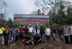 Kolaboraasi Pemdes Lubuk Lungkang dan PT SMS, 125 Hektar Lahan Tidur Berubah Jadi Perkebunan Sawit Produktif