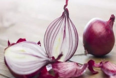 Ini Dia 7 Manfaat Tanaman Obat Bawang Merah Untuk Kesehatan, Nomor 7 Baik Untuk Kesehatan Kulit