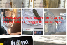 Dua Tersangka Diamankan, Ungkap Kasus Peredaran Narkotika Jenis Ganja