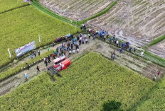 Rancang Irigasi Tahan 100 Tahun dengan Efek Berganda 