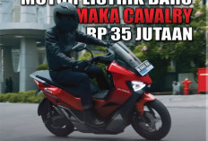 Maka Cavalry Resmi di Pasarkan di Idnonesia, Ini Harganya