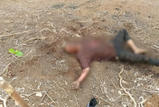 Mayat Tanpa Indentitas Tergeletak di Tanah Ditemukan Petani
