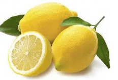 Selain Menurunkan Risiko Batu Ginjal, Ternyata Buah Lemon Kaya Manfaat, Yuk Intip