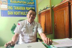 Kabar Baik! Kelompok Tani Bisa Usulkan Bantuan Ke Pemkab Lahat, Ini Dia Syaratnya