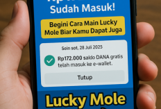 Saldo DANA Gratis Rp172.000 Sudah Masuk! Begini Cara Main Lucky Mole Biar Kamu Dapat Juga