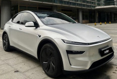 Waduh! Angka Penjualan Kendaraan Tesla Merosot