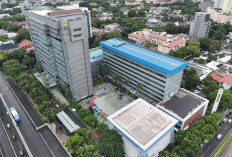 TOP! PLN Kembali Pertahankan Posisi Puncak Sektor Utilitas Fortune Southeast Asia 500