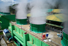 Penjualan REC Capai 6,43 TWh di 2025, Energi Bersih Semakin Diminati Sektor Industri dan Bisnis