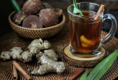 Tanaman Obat Jahe untuk Pencernaan dan Imunitas, Si Rimpang Penghangat Tubuh