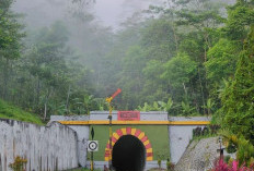 Ternyata Terowongan Lempegan Terowongan Kereta Api Pertama dan Tertua di Indonesia