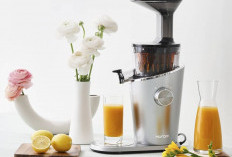 Inilah 5 Slow Juicer Rekomendasi Tahun 2024