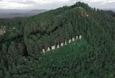 Puncak Polan Kota Sawalunto, Tempat Spot Terbaik Melihat Matahari Terbit dan Terbenam