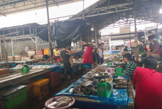 Tingginya Konsumsi Ikan Bagi Warga Lahat