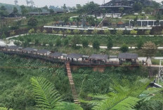 Taman Satwa di Atas Bukit, Menawarkan Permandangan Alam Yang Indah