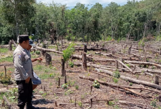 Polsek Kikim Timur Siapkan Lahan Jagung untuk Program Ketahanan Pangan di Desa Bunga Mas