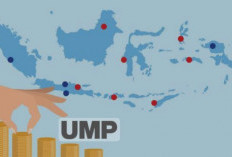 UMP 2024 Naik, Diumumkan Paling Lambat 21 November 2023