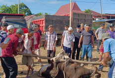 Masjid Az Zahro Perdana Gelar Kurban, Tebar Kepedulian di Hari Raya Idul Adha