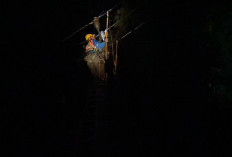 Gerak Cepat PLN Pulihkan Listrik Akibat Cuaca Ekstrem di Ogan Komering Ulu