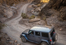 Misteri Batu Bergerak di Death Valley, Ini Faktanya