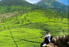 Selain Menawarkan Keindahan Alam, Gunung Cilik Wonosobo Menawarkan Pengalaman Mensaki Yang Memuaskan