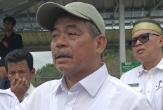 Bupati Lahat Dorong Desa/Kelurahan Tingkatkan Ketahanan Pangan, Menanam Sayur di Perkarangan Rumah