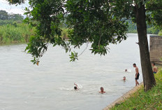 Seru! Begini Cari Hiburan Berenang di Sungai Lematang