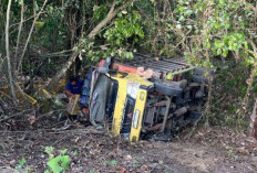 Hindari Lubang, Truk Ayam Masuk Jurang di Jalan Poros Empat Lawang
