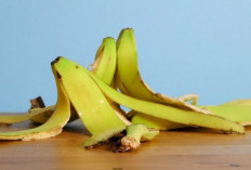 Waw Ternyata Ini Manfaat Kulit Pisang, Tanaman Obat Alami untuk Kulit Wajah Cerah