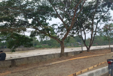 Bangunan Ilegal di RTH Tanjung Payang Bakal Ditertibkan Satpol PP Lahat