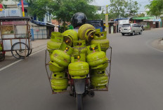 Pemerintah Perketat Distribusi LPG 3 Kg, Ini Daftar Penerima yang Berhak