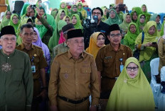 Wagub Sumsel Hadiri Peringatan Harlah ke 79 Muslimat NU