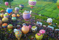 Mengenal Sejarah Festival Balon Wonosobo Jadi Daya Tarik Masyarakat