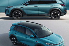 BYD Pastikan Menambah Model Baru di Pasar Domestik Indonesia, Sudah di Luncurkan Sejak Maret 2025